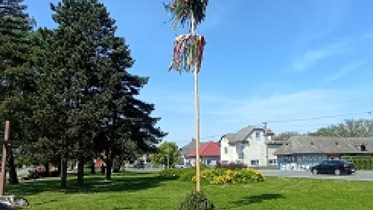 STAVANIE MÁJA 2024  STAVANIE MÁJA 2024