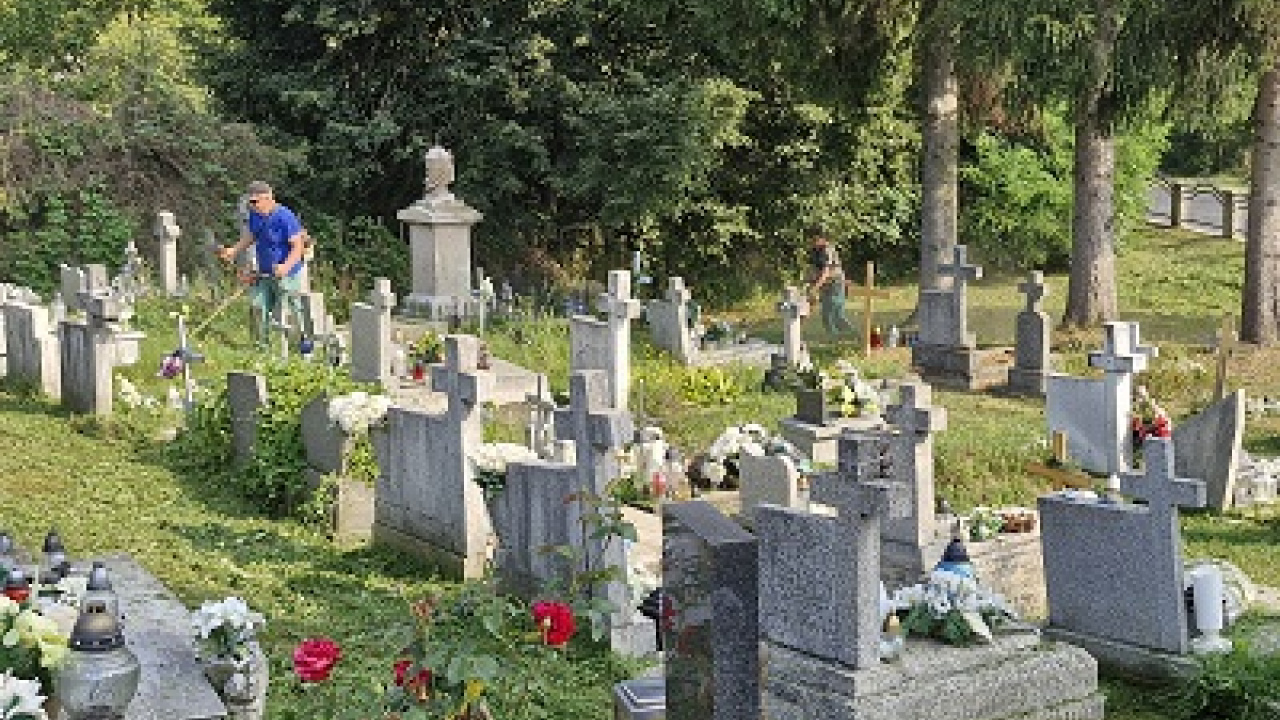 Kosenie cintorína  Kosenie cintorína